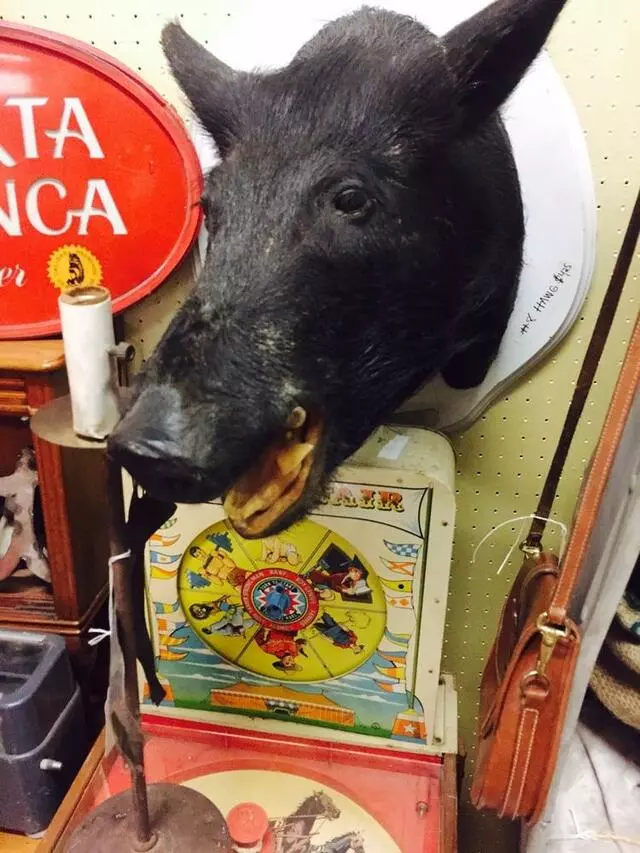 Austin Antique Mall