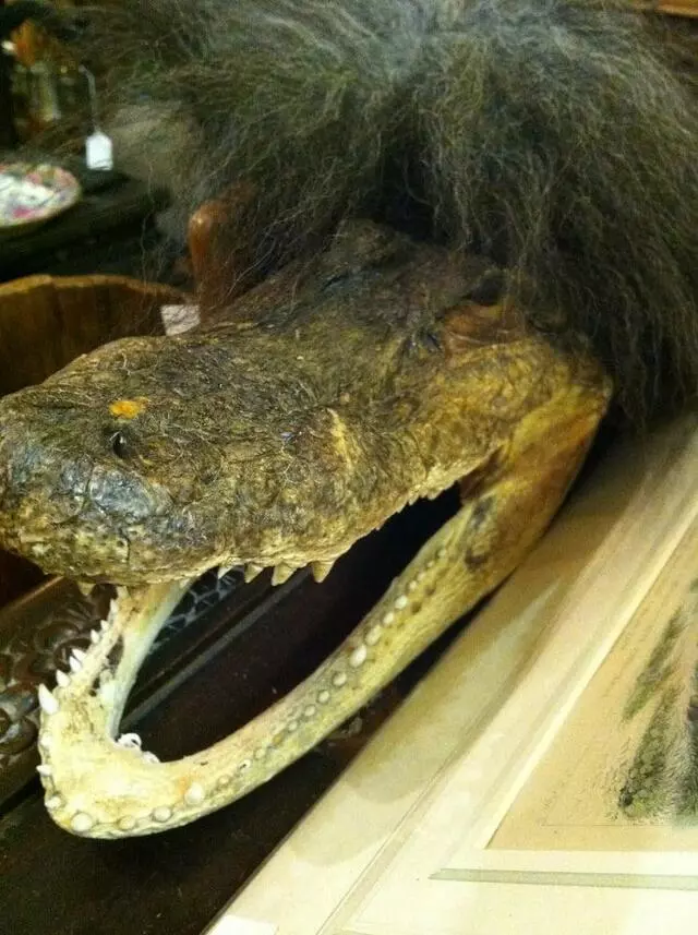 Austin Antique Mall