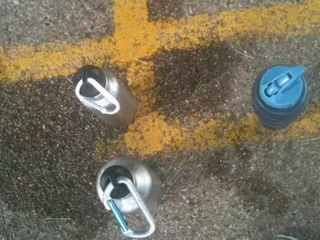 Urban Animal