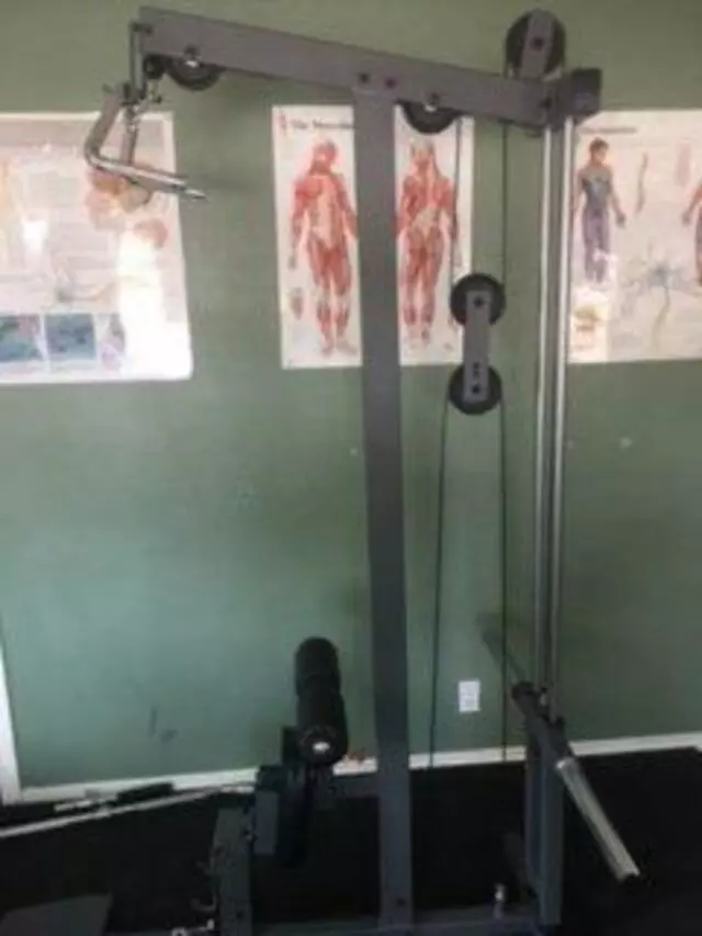Alliance Physical Culture