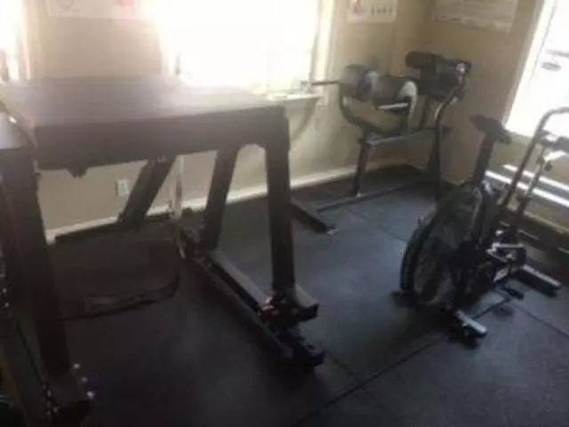 Alliance Physical Culture