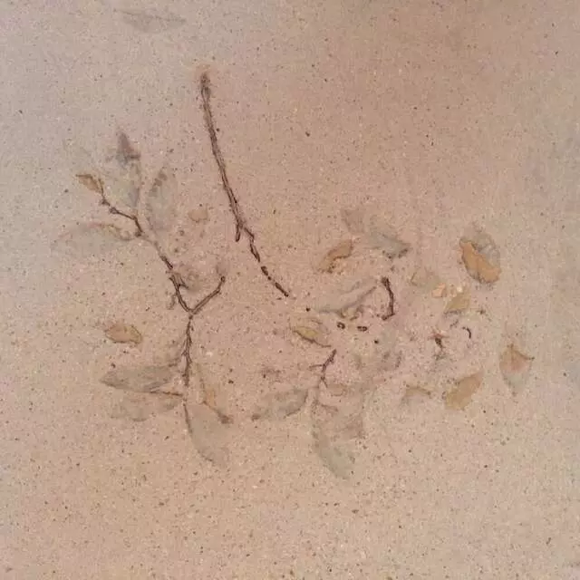 Austin Stained Concrete and More