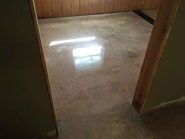 Austin Stained Concrete and More