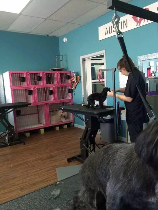 Austin Pet Stylist