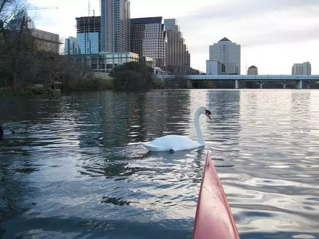 Austin Rowing Club