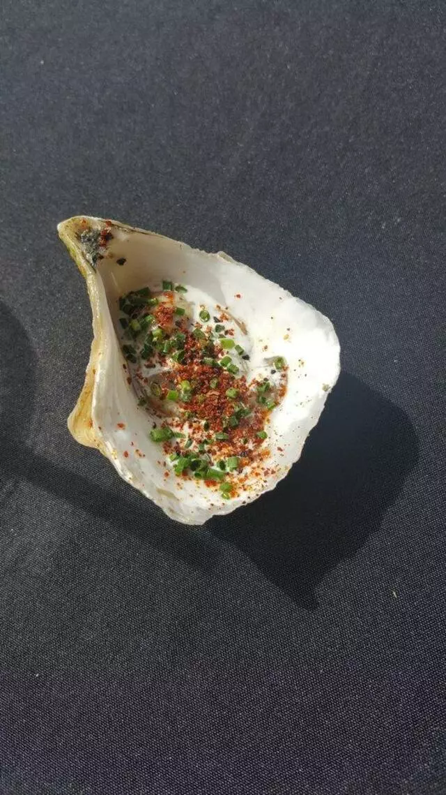 Austin Oyster Festival