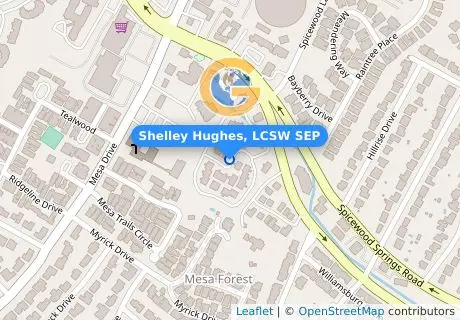 Shelley Hughes, LCSW SEP