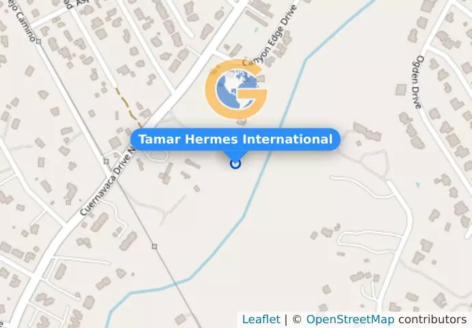 Tamar Hermes International