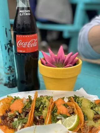 La Tunita 512