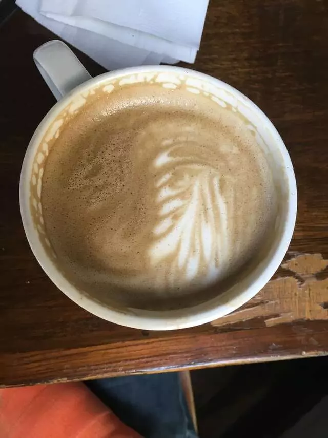 Austin Java - Barton Springs