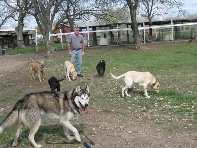Agape Acres Kennel