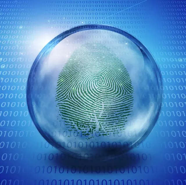 A Step Ahead Investigations