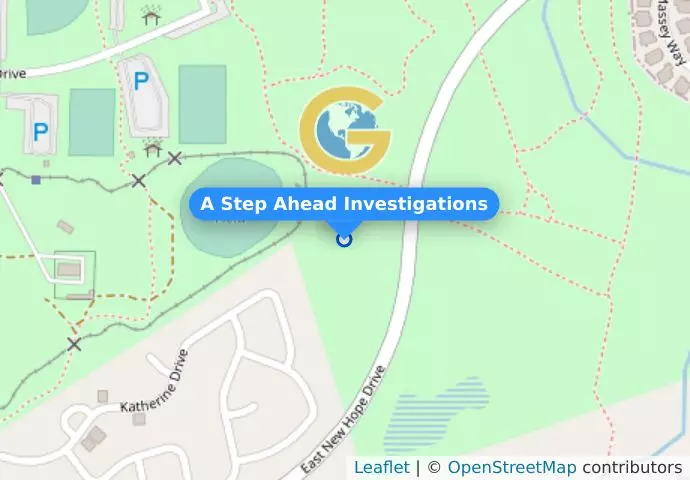 A Step Ahead Investigations