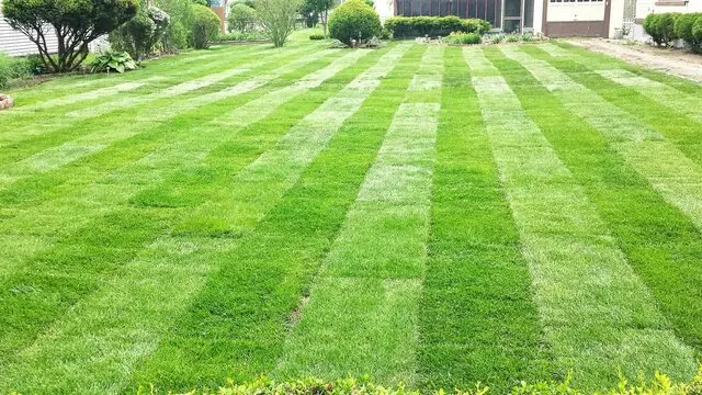 Austin Sod Company