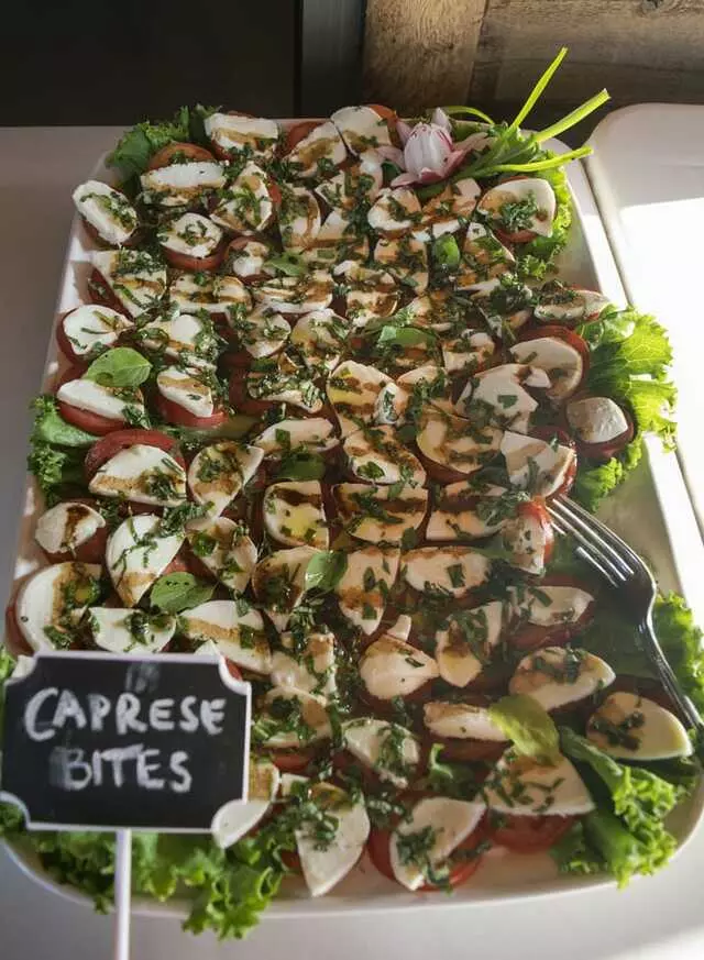 Apolonia Catering