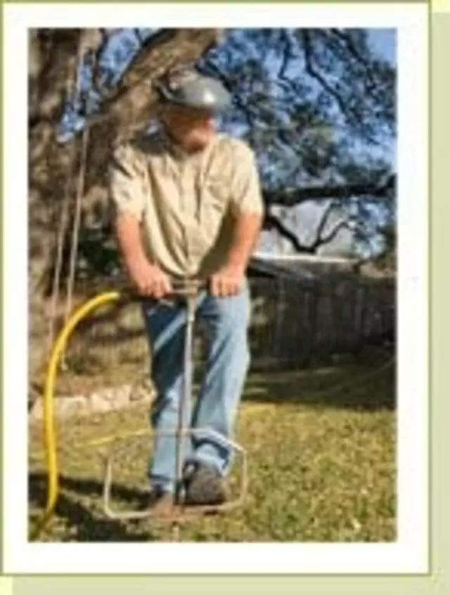 Austin Tree Experts