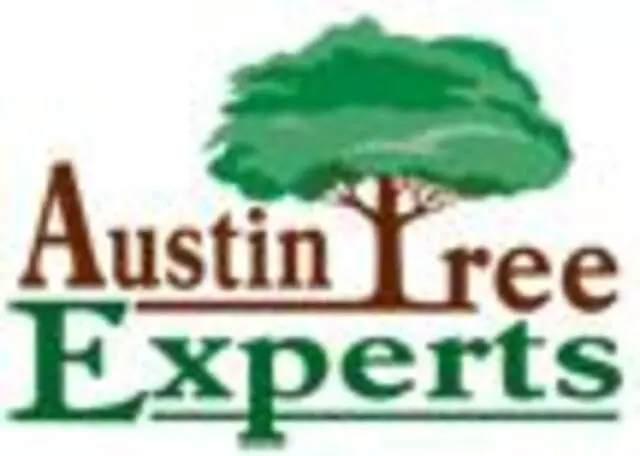 Austin Tree Experts