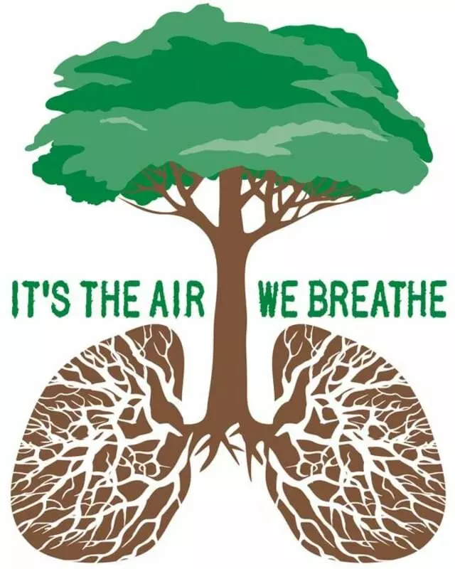 Austin Tree Experts