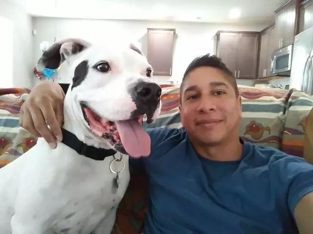Austin’s Pooches