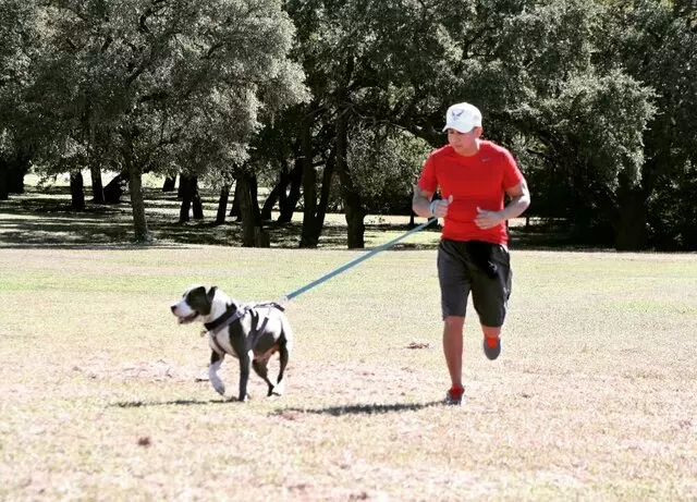 Austin’s Pooches
