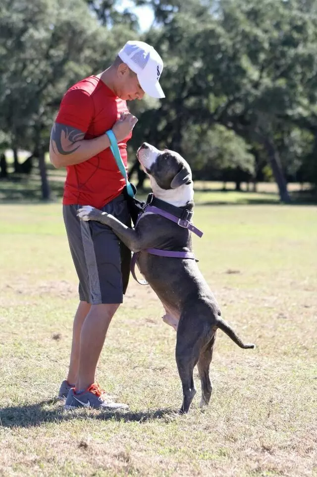 Austin’s Pooches
