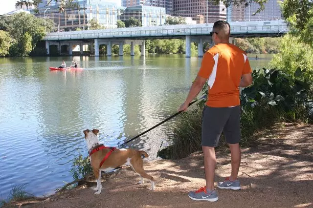 Austin’s Pooches