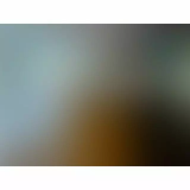 Animals Staying Alive