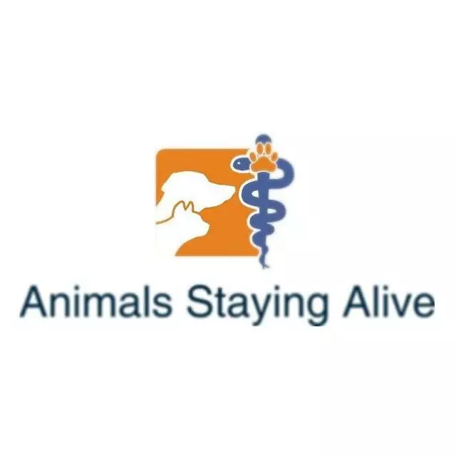 Animals Staying Alive