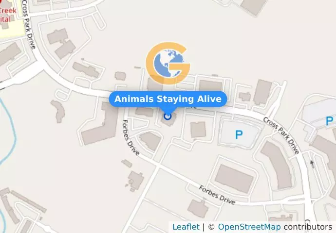 Animals Staying Alive