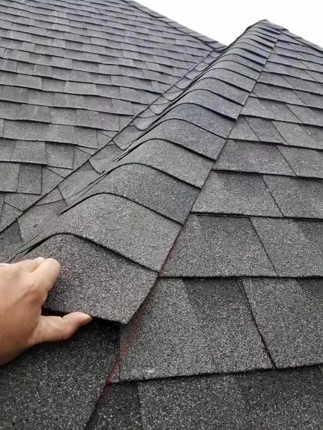 Action Roofing & Construction