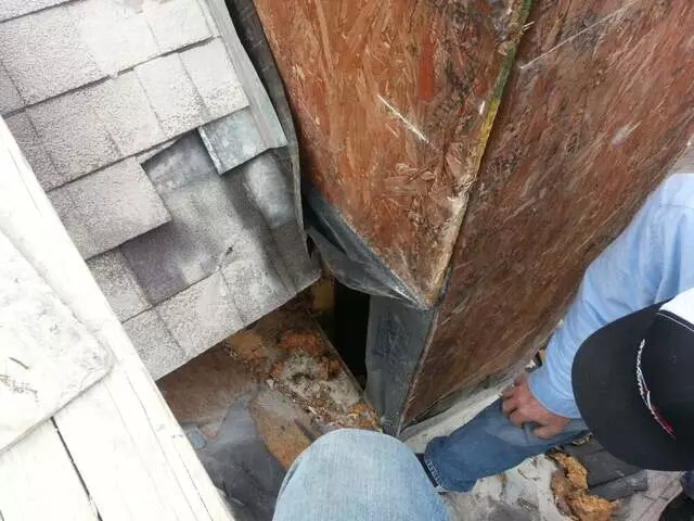 Action Roofing & Construction