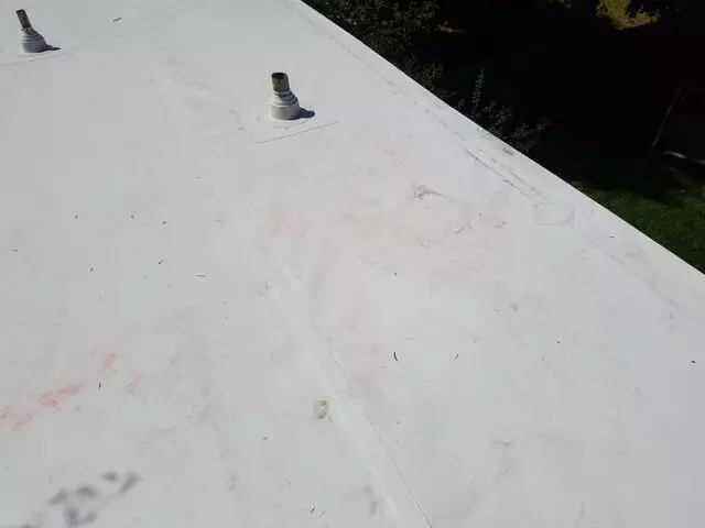 Action Roofing & Construction