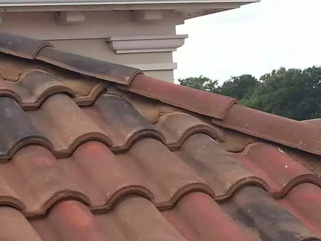 Action Roofing & Construction