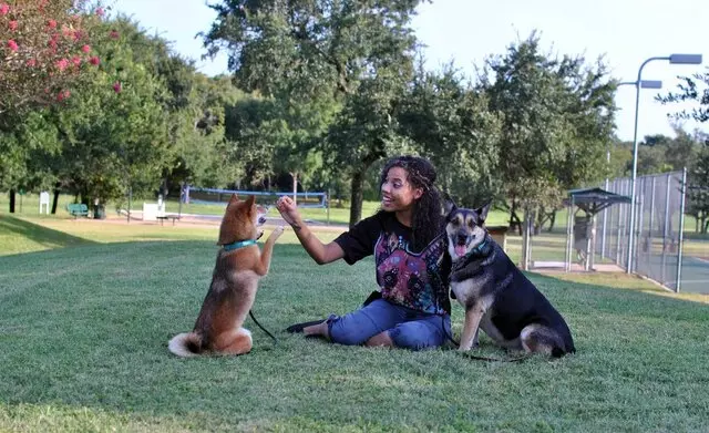 ATX Canine Club
