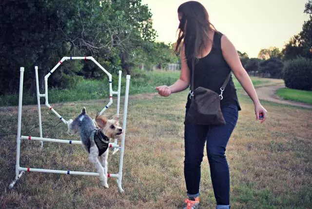 ATX Canine Club