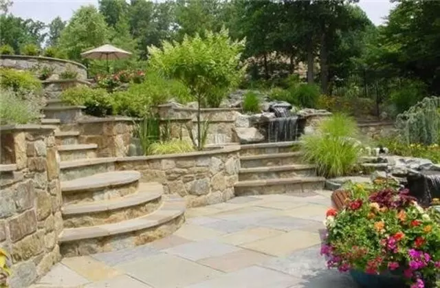 Arnulfo Lawn Care & Tree Service