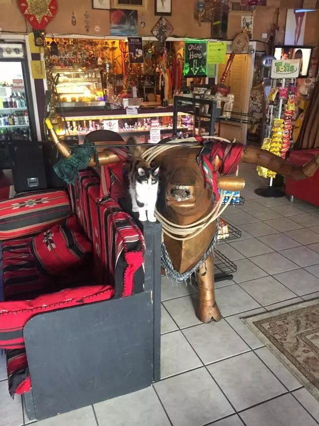 Austin Hookah Lounge