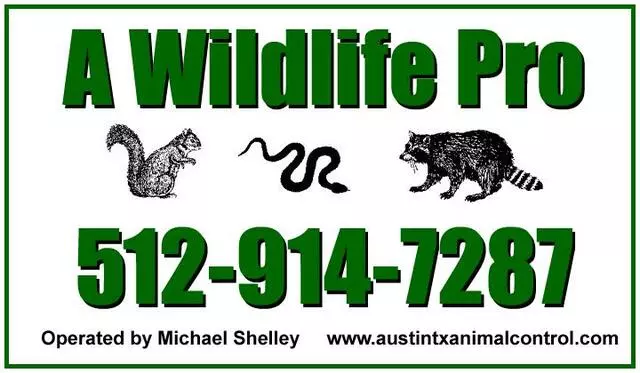 A Wildlife Pro