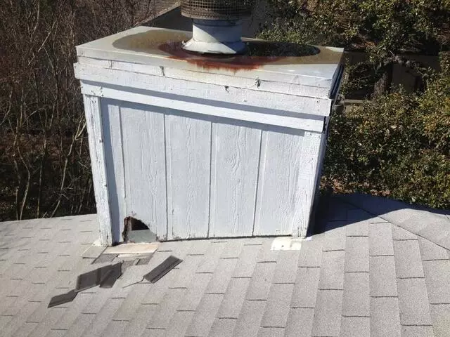 A Wildlife Pro