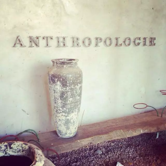 Anthropologie
