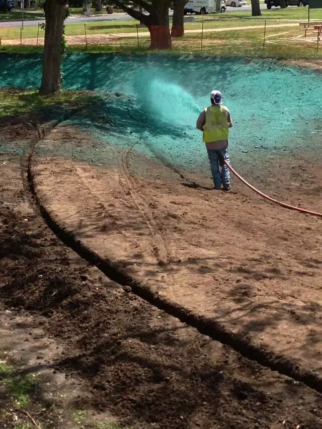 Austex Tree Service