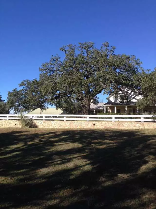 Austex Tree Service