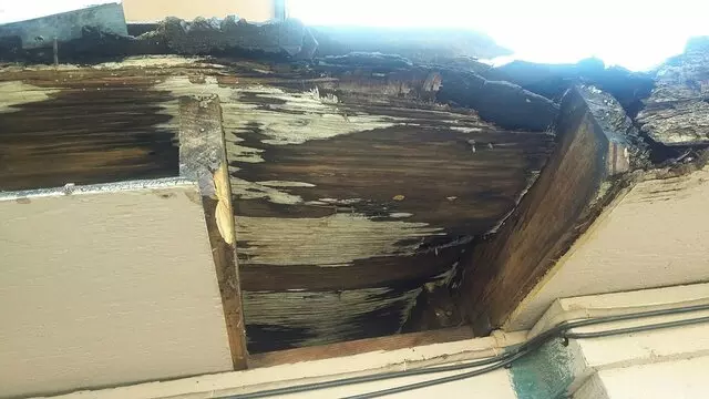 Andrade’s Painting Service