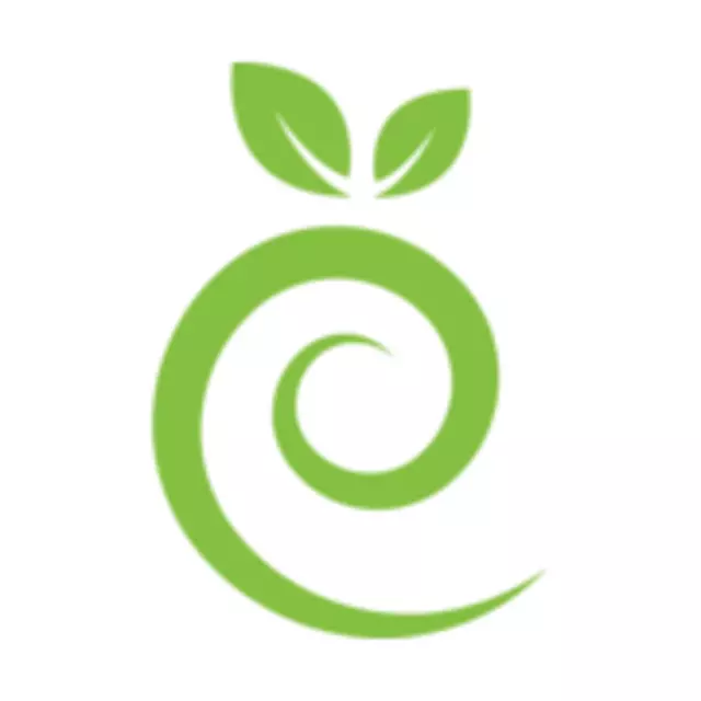 Austin Consulting Firm