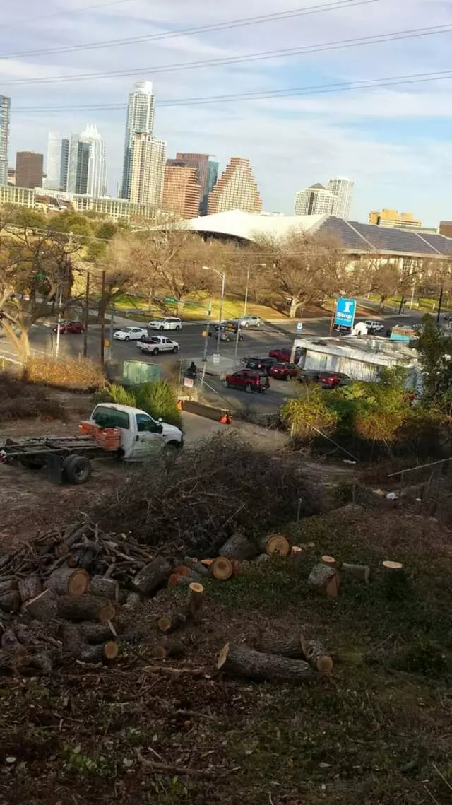 Austin Tree Patrol Services