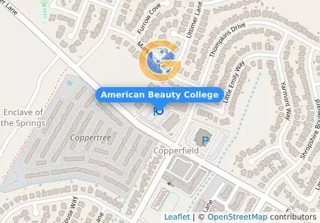 American Beauty College