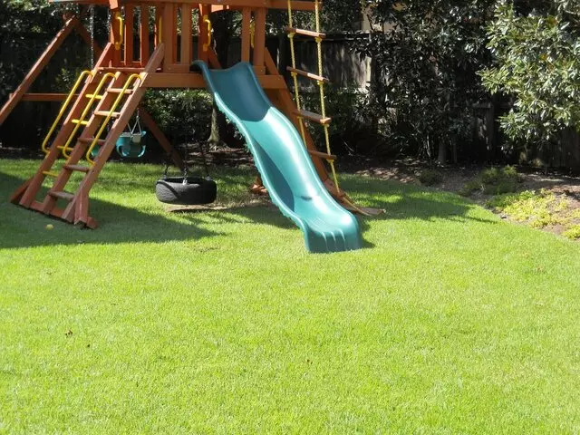 Austin Fertilization Services