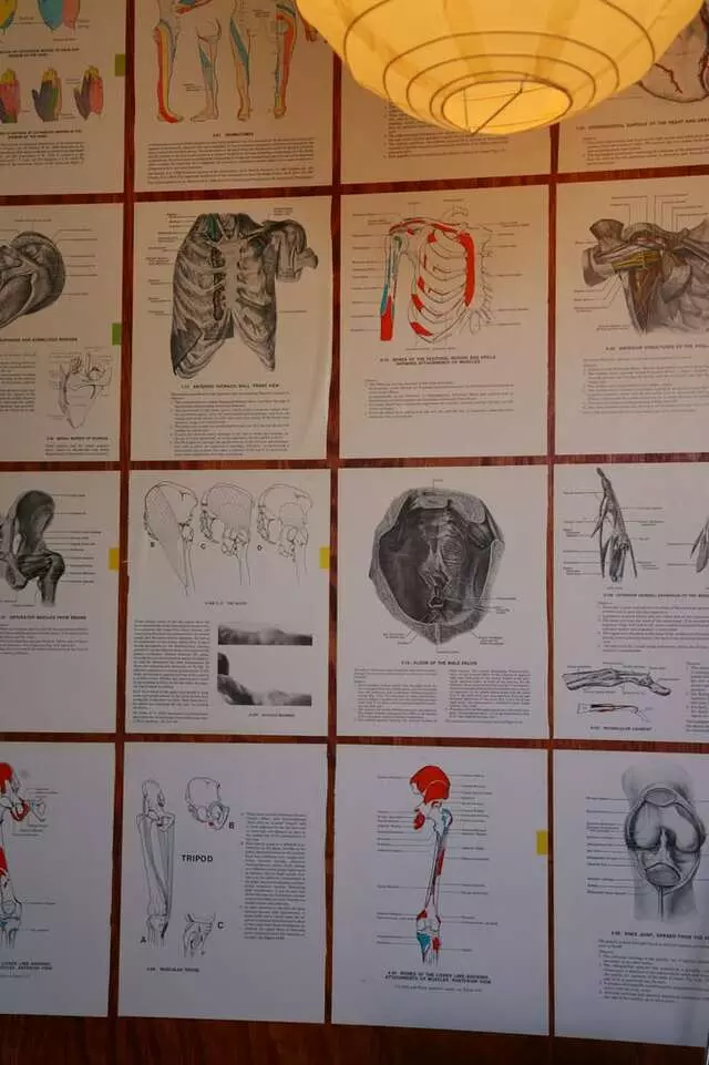 The Physio Cell