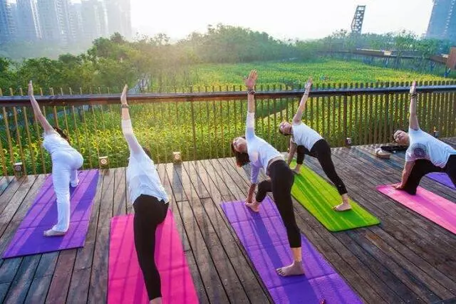 FeverFit