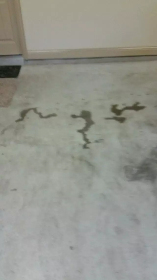 Austin Epoxy Floors